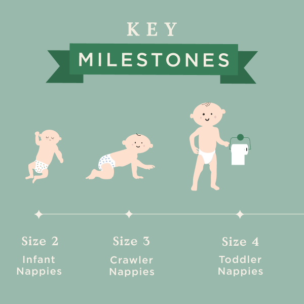 Milestones from birth to walking Tooshies