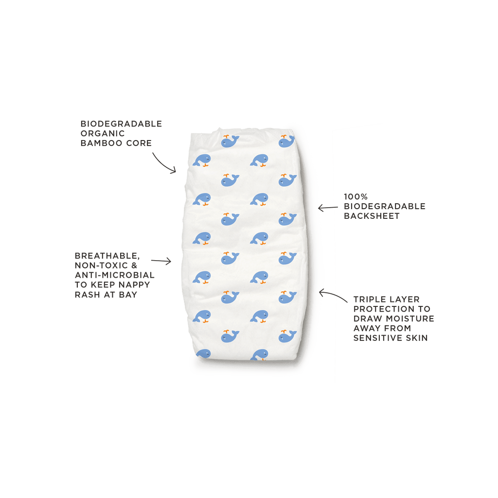 tooshies size 3 bamboo crawler nappy single with whales